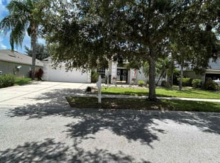 Dorothy W.'s residential landscaping service result