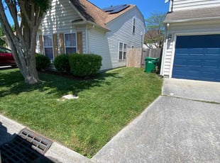 Tony L.'s lawn care service result