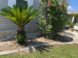 Justin A.'s Bush Trimming service result