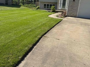 Sufyan S.'s lawn service service result