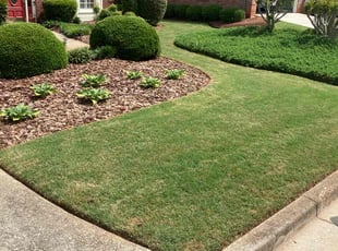 Debra S.'s turf care service result