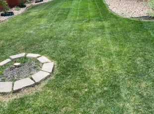 Jill S.'s lawn maintenance service result