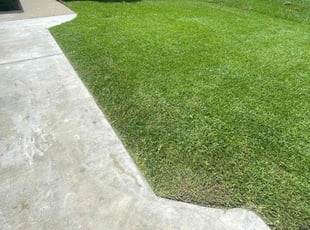 Catherine H.'s lawn care services service result