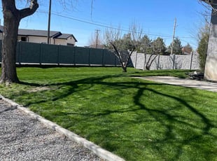 Pennee M.'s grass cutting service result