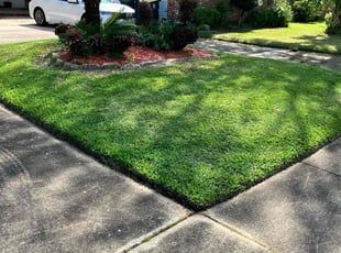 Jason M.'s lawn maintenance service result