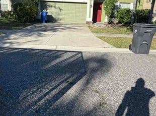 Wallace M.'s lawn maintenance service result