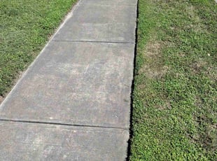 Jon M.'s turf maintenance service result