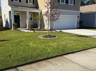 Daron T.'s gardening service service result