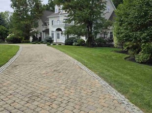 Sheri S.'s turf maintenance service result