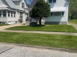 Becky D.'s turf maintenance service result