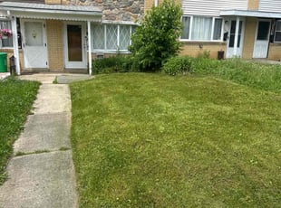 Mark B.'s turf care service result