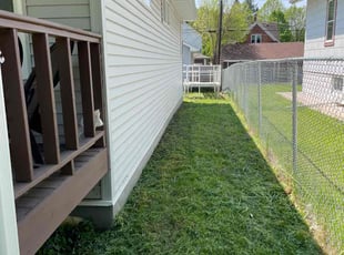 Tyniqua A.'s turf care service result