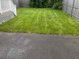 Jeremy J.'s turf maintenance service result