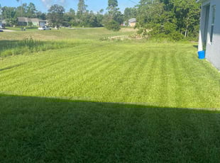 Aron E.'s lawn service service result