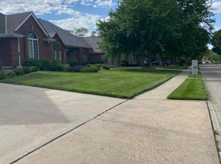 Dave B.'s lawn care services service result
