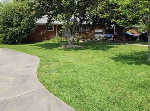 Lynn A.'s grass cutting service result