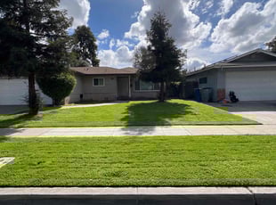 Libby L.'s turf care service result