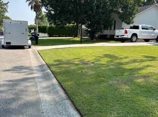 Chris H.'s turf care service result
