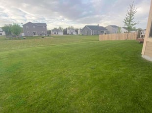 Cory T.'s turf maintenance service result