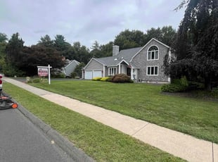 Virginia M.'s grass maintenance service result
