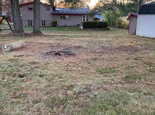 George D.'s Leaf Removal service result