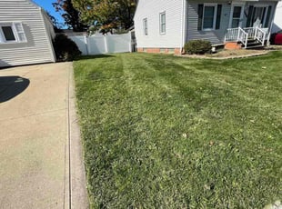 Greg S.'s grass maintenance service result