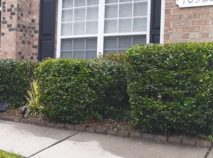 Deepjyoti R.'s Bush Trimming service result