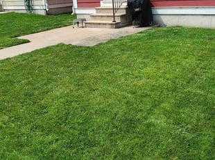 Sheila B.'s lawn maintenance service result