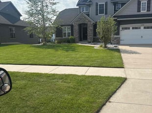 Ray A.'s lawn service service result