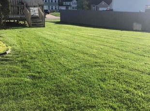 Richard K.'s grass cutting service result