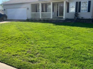 Patrick M.'s turf care service result