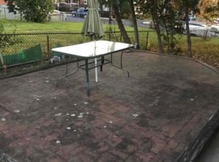 Courtney H.'s Weeding service result