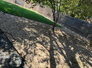 Thomas W.'s Leaf Removal service result
