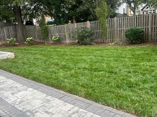 Adrien W.'s lawn care services service result