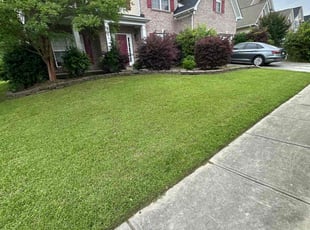 Candace D.'s lawn service service result