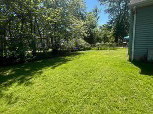 Denise L.'s turf maintenance service result