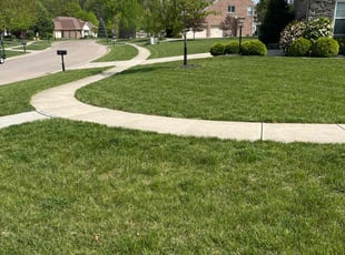 Luis Q.'s turf maintenance service result