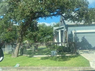 Judy S.'s lawn care service result