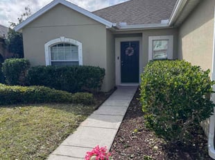 Dorothy H.'s Bush Trimming service result