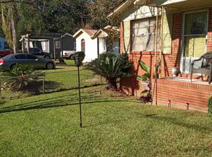 Latanya F.'s Bush Trimming service result