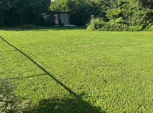 Marilyn W.'s turf care service result