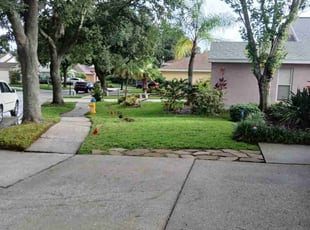 Luci W.'s lawn care services service result