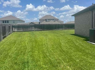 Darryl P.'s turf care service result