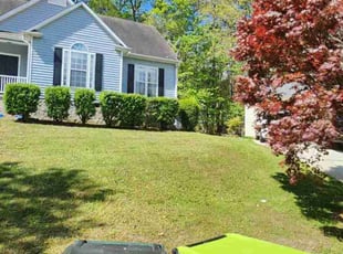 Patricia C.'s lawn care services service result