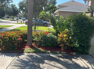 Allison P.'s Mulching service result
