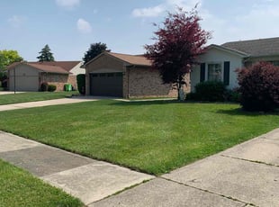 Luis H.'s lawn care services service result