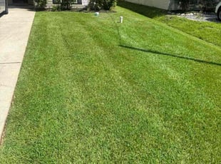 Cynthia A.'s landscaping service result