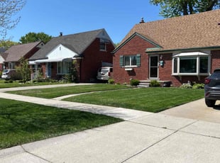 Lisa D.'s turf care service result
