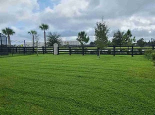 Judy N.'s lawn care services service result