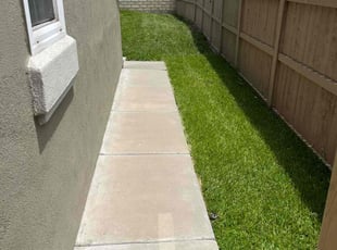 Frank T.'s turf care service result